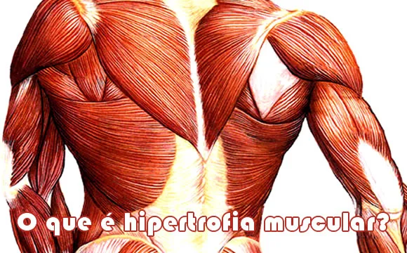 hipertrofia muscular foto